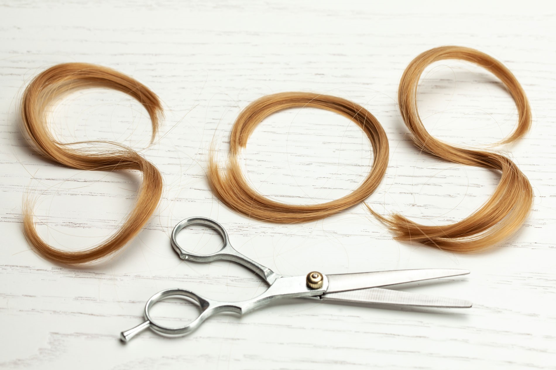 misel-group-hair-allergy-testing