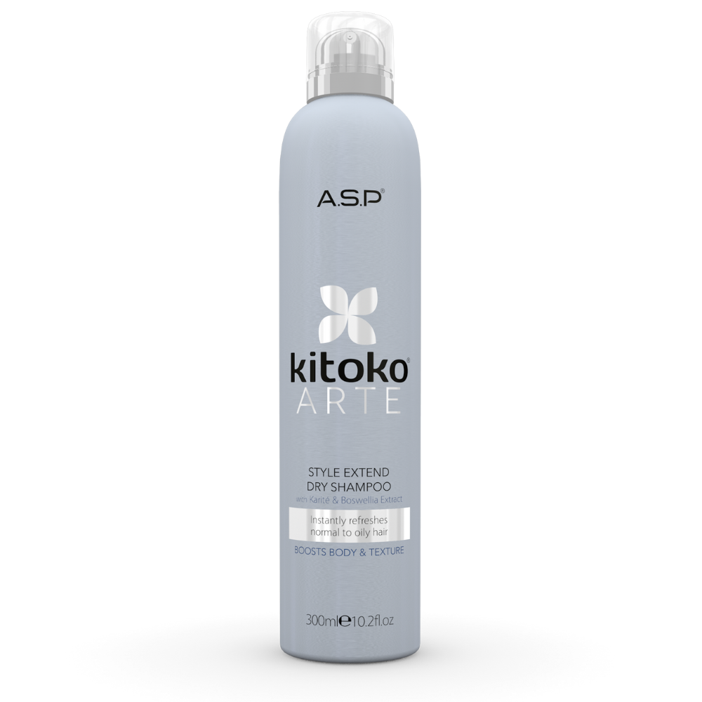 Style Extend Dry Shampoo 300ml